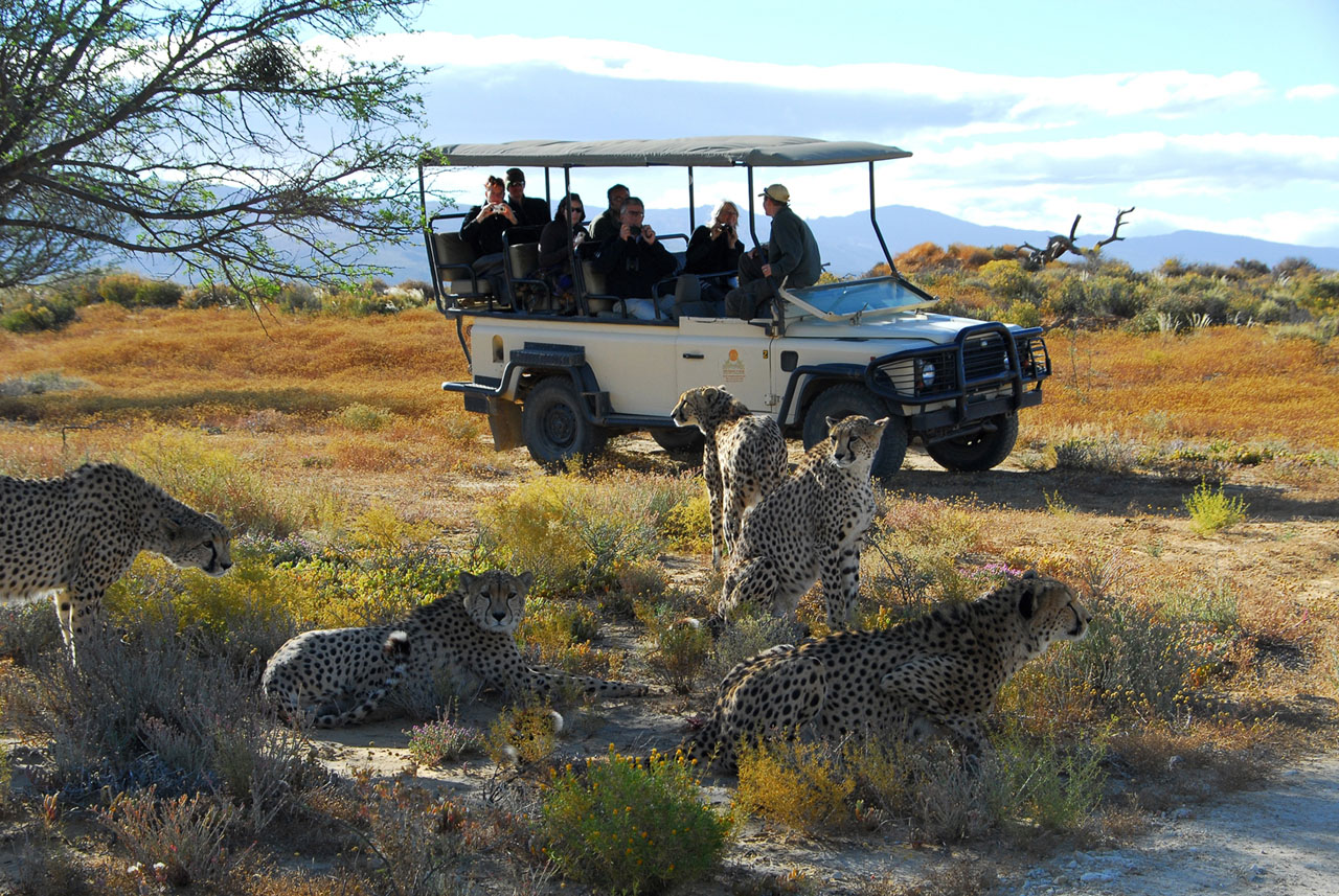 Inverdoorn Private Game Reserve What s On In Joburg Inverdoorn Private Game Reserve What s On In Joburg